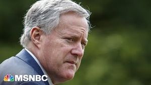 Video post by @msnbc on YouTube