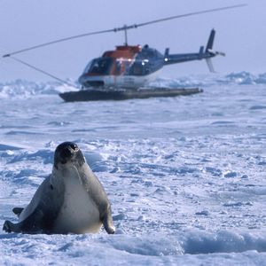 Image post by @discovery on Instagram