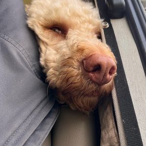 Image post by @jasonsfairchild on Instagram