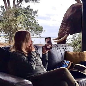 Image post by @chiawasafaris on Instagram