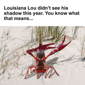 Image post by @lafishfry on Instagram