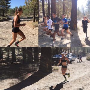 Image post by @uclaxc on Instagram