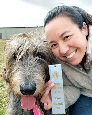 Image post by @thesavannahwolfhound on Instagram