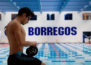 Image post by @borregostec on Instagram