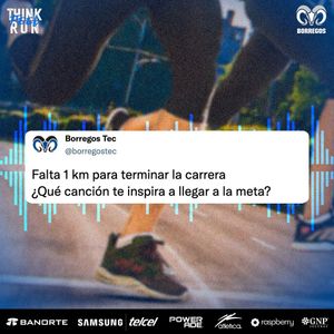 Image post by @borregostec on Instagram
