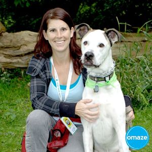 Image post by @omaze on Instagram