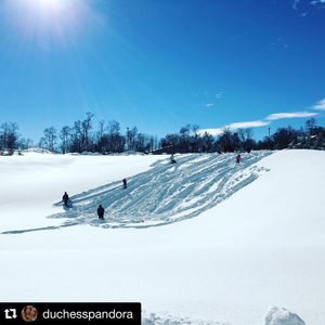 Image post by @shippensburgu on Instagram