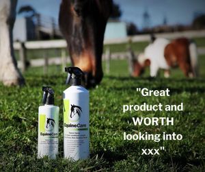 Image post by @equinecareprobiotic on Instagram