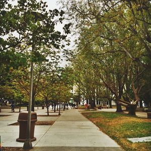 Image post by @asicsuf on Instagram