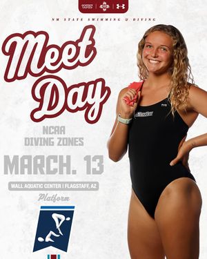 Image post by @nmstateswimdive on Instagram