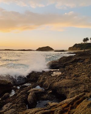 Image post by @tysadesigns on Instagram