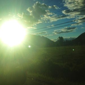Image post by @finniles on Instagram