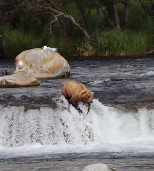 Image post by @nationalparkscollective on Instagram