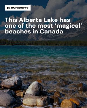 Image post by @curiocitycalgary on Instagram