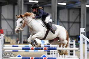 Image post by @NZHorseAmbulanceTrust on Facebook