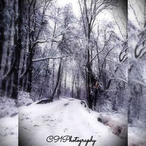 Image post by @c91photography on Instagram