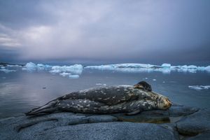 Image post by @natgeo on Instagram