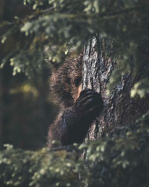Image post by @discovery on Instagram