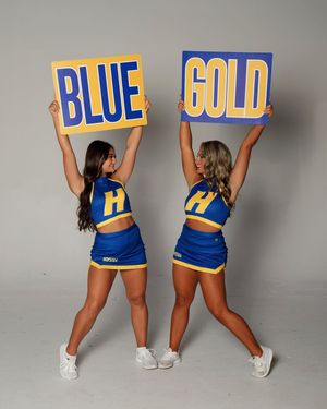 Image post by @hofstradanceteam on Instagram