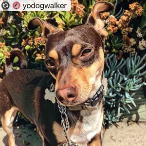 Image post by @nikkiglaser on Instagram