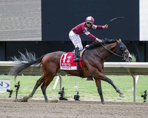 Image post by @spendthriftfarm on Instagram