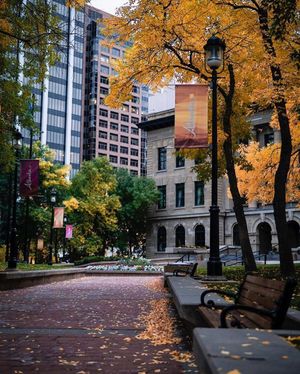 Image post by @cityofcalgary on Instagram