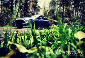 Image post by @c91photography on Instagram