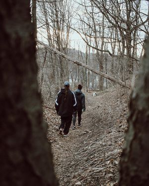 Image post by @ninamarie_creative on Instagram