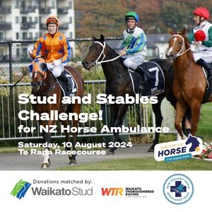 Image post by @nzhorseambulancetrust on Facebook