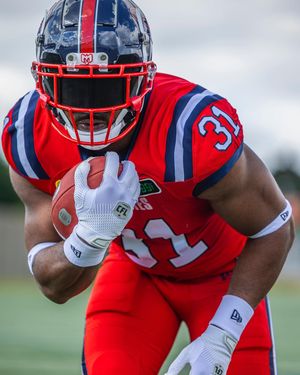 Image post by @mtlalouettes on Instagram