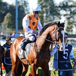 Image post by @australianturfclub on Instagram