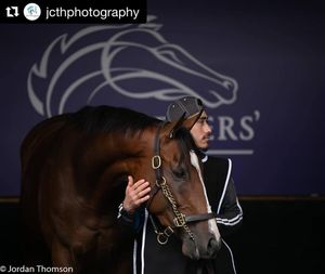 Image post by @spendthriftfarm on Instagram