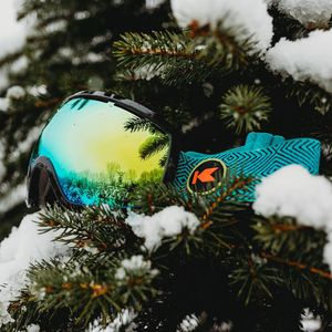 Image post by @knockaround on Instagram