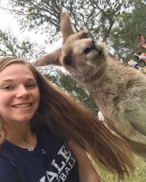 Image post by @yalesoftball on Instagram