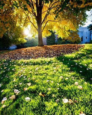 Image post by @seattleu on Instagram
