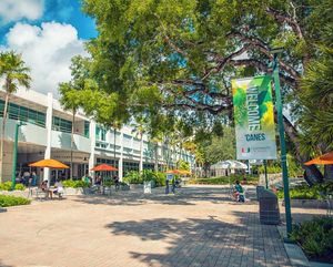 Image post by @univmiami on Instagram