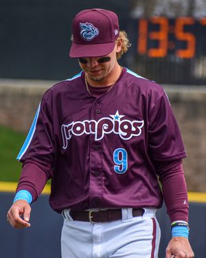 Image post by @IronPigs on Twitter/X
