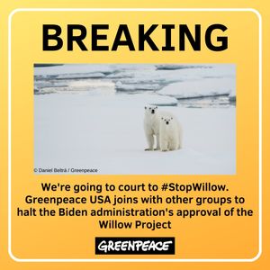 Image post by @greenpeaceusa on Instagram