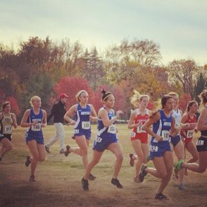 Image post by @hofstratrackxc on Instagram