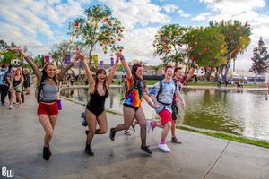 Image post by @beyondwland on Instagram