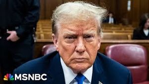 Video post by @msnbc on YouTube