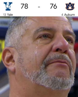 Image post by @oldrowwareagle on Instagram