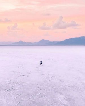 Image post by @dronepals on Instagram