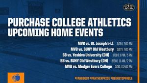 Image post by @purchasecollegeathletics on Instagram