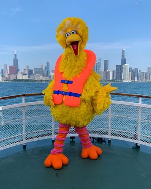 Image post by @sesamestreet on Instagram
