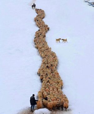 Image post by @fubiz on Instagram