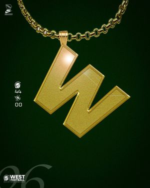 Image post by @ICWestFB on Twitter/X
