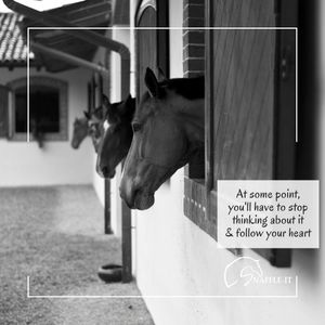Image post by @snaffle_it on Instagram