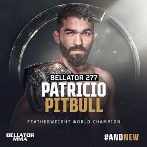 Image post by @bellatormma on Instagram