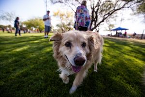 Image post by @cityofapachejunction on Instagram